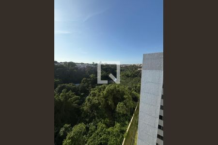 Vista de apartamento para alugar com 2 quartos, 39m² em Narandiba, Salvador