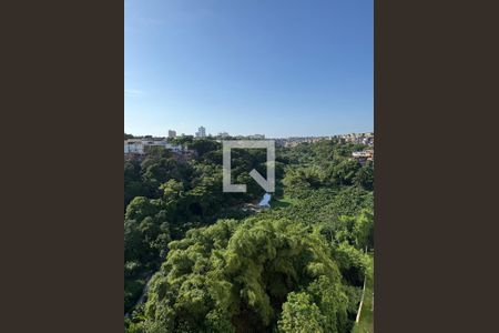 Vista de apartamento para alugar com 2 quartos, 39m² em Narandiba, Salvador