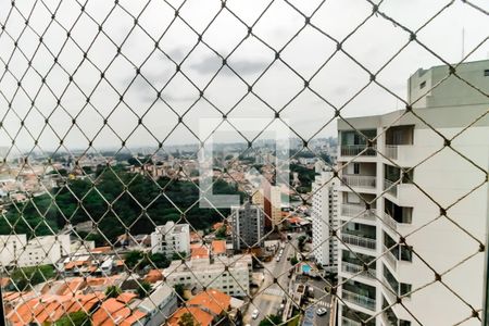 Vista da Varanda de apartamento para alugar com 2 quartos, 52m² em Jardim Monte Alegre, Taboão da Serra