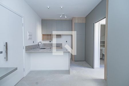 Sala / cozinha de apartamento para alugar com 1 quarto, 33m² em Paquetá, Belo Horizonte