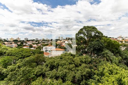 Vista da Varanda da Sala de apartamento para alugar com 3 quartos, 161m² em Vila Brasilio Machado, São Paulo