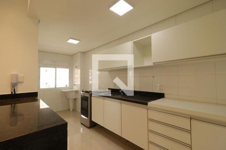 Cozinha de apartamento para alugar com 2 quartos, 86m² em Subsetor Sul - 7 (s-7), Ribeirão Preto