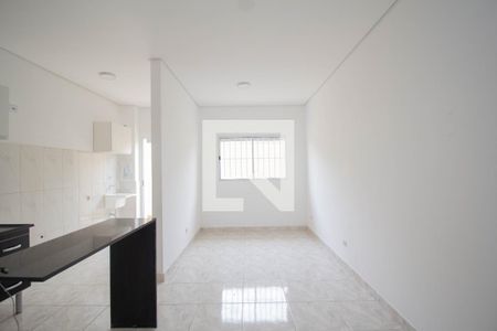 Sala/Quarto de apartamento para alugar com 1 quarto, 40m² em Vila Mangalot, São Paulo