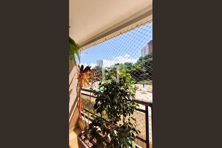 Varanda da Sala de apartamento para alugar com 3 quartos, 105m² em Centro, Campinas