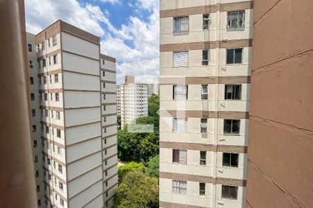 Vista do Quarto 1 de apartamento para alugar com 2 quartos, 56m² em Jardim Iris, São Paulo