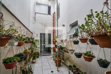 Jardim de Inverno de casa à venda com 4 quartos, 270m² em Vila Curuçá, Santo André