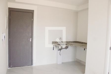 Sala/Cozinha de apartamento para alugar com 1 quarto, 27m² em Jardim São Paulo, São Paulo