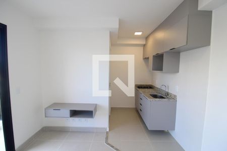 Sala / Cozinha de apartamento para alugar com 1 quarto, 27m² em Jardim São Paulo, São Paulo