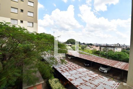 Quarto 1 - Vista de apartamento à venda com 2 quartos, 65m² em Bonfim, Campinas