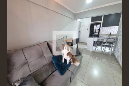 Apartamento à venda com 2 quartos, 47m² em Vila Dom Pedro II, São Paulo