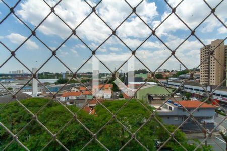 Vista da Sala de apartamento à venda com 3 quartos, 65m² em Paulicéia, São Bernardo do Campo