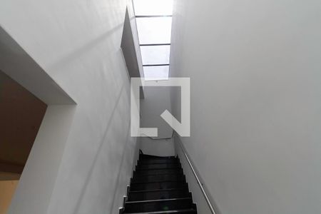 Escada de casa de condomínio à venda com 3 quartos, 600m² em Garças, Belo Horizonte