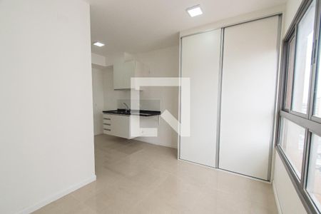 Sala/quarto de kitnet/studio para alugar com 1 quarto, 24m² em Ipiranga, São Paulo