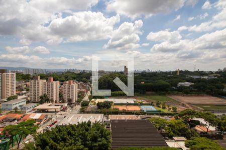 Vista do Quarto 1 de apartamento para alugar com 3 quartos, 65m² em Vila Butantã, São Paulo