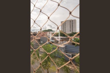 Vista da Suíte  de apartamento para alugar com 3 quartos, 80m² em São Bernardo, Campinas