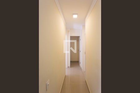 corredor de apartamento para alugar com 2 quartos, 54m² em Jardim Monte Kemel, São Paulo