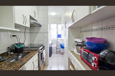 Cozinha de apartamento à venda com 2 quartos, 50m² em Jardim Anhanguera, São Paulo