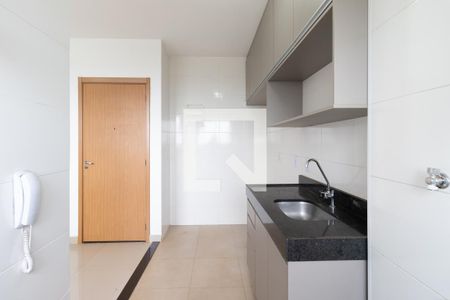 Cozinha de apartamento para alugar com 2 quartos, 45m² em Bonfim Paulista, Ribeirão Preto