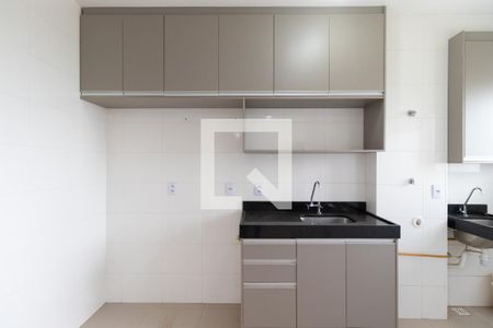 Cozinha de apartamento para alugar com 2 quartos, 45m² em Bonfim Paulista, Ribeirão Preto