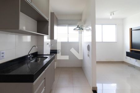 Cozinha de apartamento para alugar com 2 quartos, 45m² em Bonfim Paulista, Ribeirão Preto