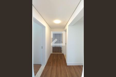 Corredor  de apartamento para alugar com 3 quartos, 220m² em Vila Nova, Campinas