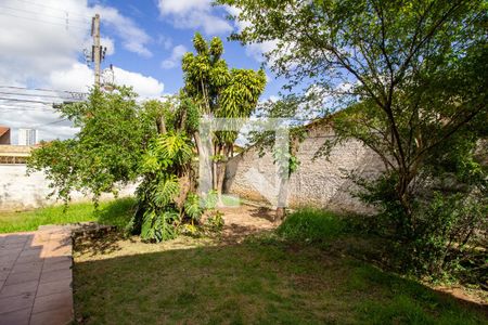 Casa para alugar com 450m², 3 quartos e 7 vagas Casa para alugar com 450m², 3 quartos e 7 vagasÁrea Externa