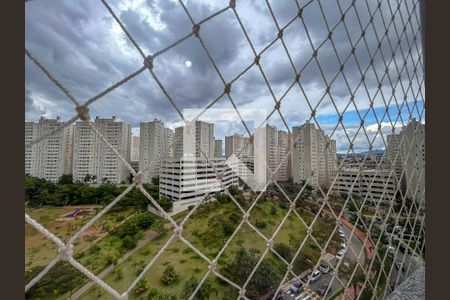 Vista do Quarto 1 de apartamento para alugar com 2 quartos, 43m² em Jardim Iris, São Paulo