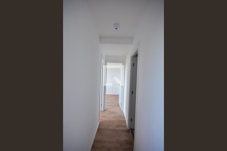 Corredor de apartamento para alugar com 2 quartos, 42m² em Jardim Maria Duarte, São Paulo