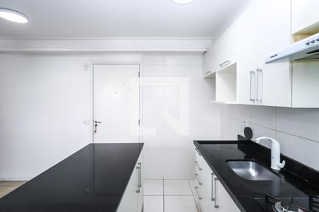 Cozinha de apartamento para alugar com 2 quartos, 41m² em Jardim Sao Saverio, São Paulo