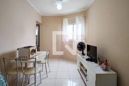 Sala de apartamento para alugar com 1 quarto, 38m² em Nova Mirim, Praia Grande