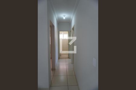 Corredor de apartamento para alugar com 2 quartos, 71m² em Jardim Bela Vista, Americana