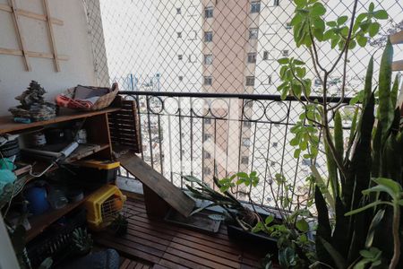 Sacada de apartamento à venda com 3 quartos, 63m² em Chácara Califórnia, São Paulo