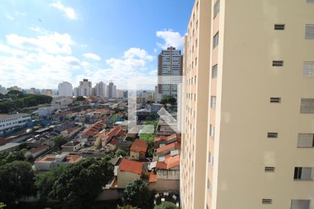 Sala / Cozinha - Varanda de apartamento para alugar com 2 quartos, 38m² em Imirim, São Paulo