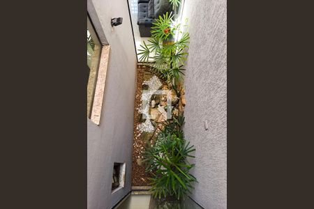 Jardim de Inverno de casa para alugar com 3 quartos, 141m² em Vila Matilde, São Paulo