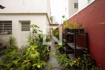 Quintal de casa à venda com 3 quartos, 300m² em Vila Olímpia, São Paulo