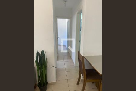 Corredor de apartamento para alugar com 2 quartos, 44m² em Vila 31 de Março, Campinas