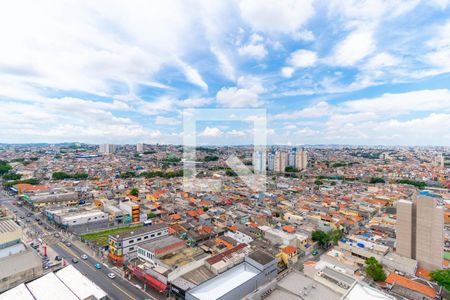 Vista do Quarto 1 de apartamento à venda com 2 quartos, 41m² em Vila Fatima, São Paulo