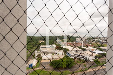 Vista da Sala de apartamento para alugar com 2 quartos, 38m² em Residencial Parque da Fazenda, Campinas