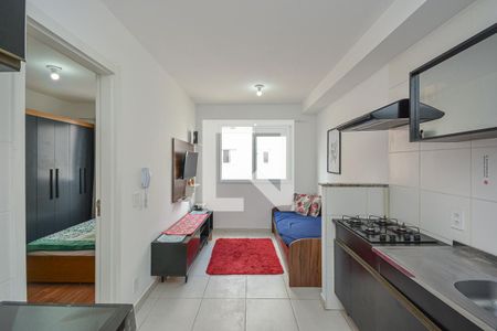 Sala/Cozinha de apartamento para alugar com 1 quarto, 30m² em Jardim Cidalia, São Paulo