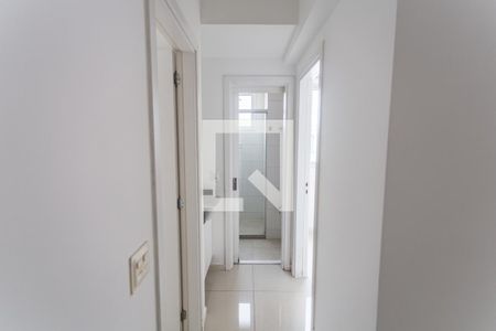 Corredor de apartamento para alugar com 2 quartos, 65m² em Lourdes, Belo Horizonte