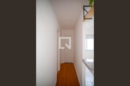 Corredor de apartamento para alugar com 2 quartos, 43m² em Sacomã, São Paulo