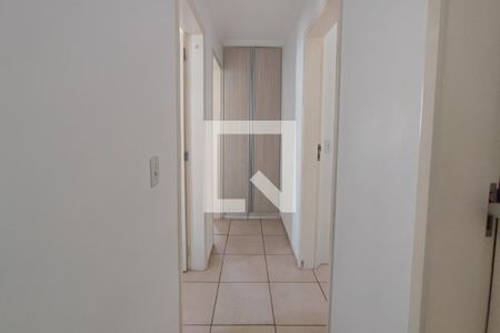 Corredor - Quartos de apartamento para alugar com 3 quartos, 60m² em Jardim Nova Europa, Campinas