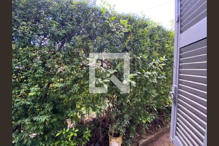 Casa para alugar com 250m², 4 quartos e 2 vagas Casa para alugar com 250m², 4 quartos e 2 vagasVista do Quarto 2