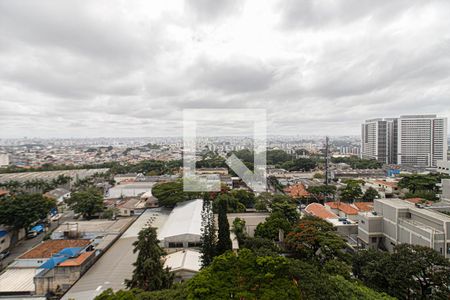 vistas_2 de apartamento para alugar com 3 quartos, 91m² em Vila Vermelha, São Paulo