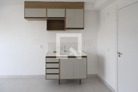 Cozinha de apartamento para alugar com 2 quartos, 35m² em Vila Graciosa, São Paulo