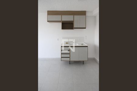 Cozinha de apartamento para alugar com 2 quartos, 35m² em Vila Graciosa, São Paulo