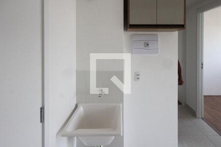 Área de Serviço de apartamento para alugar com 2 quartos, 35m² em Vila Graciosa, São Paulo