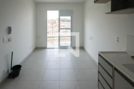 Cozinha de apartamento para alugar com 2 quartos, 35m² em Vila Graciosa, São Paulo