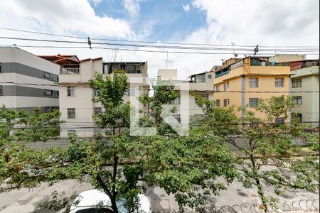 Quarto 1 de apartamento para alugar com 2 quartos, 47m² em Salgado Filho, Belo Horizonte