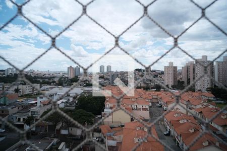 Quarto 1 de apartamento à venda com 2 quartos, 52m² em Vila Pierina, São Paulo